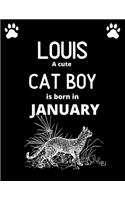 LOUIS a cute cat boy is born in January: Draw & write journal for boys with 100+ Pages of 8.5"x 11" Blank Paper for Drawing, Writing, Doodling or Learning to Draw