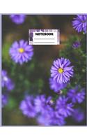 Notebook: NOTEBOOK FOR WOMEN -8.5x11 -100 page