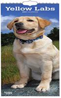 YELLOW LABRADORS 2021 SLIMLINE BTUK