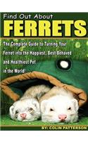 Find Out About Ferrets