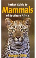 Pocket guide to mammals of Southern Africa