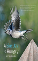 Blue Jay is Hungry