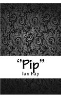''pip''