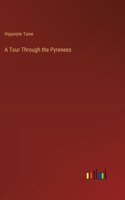 Tour Through the Pyrenees