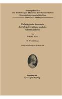 Pathologische Anatomie Der Glykolvergiftung Und Des Alloxandiabetes