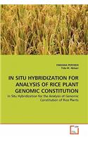 In Situ Hybridization for Analysis of Rice Plant Genomic Constitution