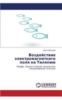 Vozdeystvie Elektromagnitnogo Polya Na Tilyapiyu