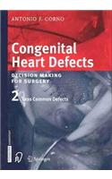 Congenital Heart Defects. Decision Making for Cardiac Surgery