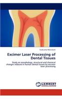 Excimer Laser Processing of Dental Tissues