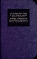 Doctrine of the Trinity in Unity: Deduced from the Discriminative Terms Employed to Designate the Divine Being by the Inspired Writers of the Old Testament