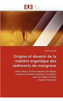 Origine et devenir de la matière organique des sédiments de mangrove