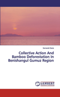 Collective Action And Bamboo Deforestation In Benishangul Gumuz Region