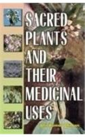 Sacred Plants and Their Medicinal Uses