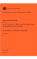 Monographs on the Evaluation of Carcinogenic Risks to Humans