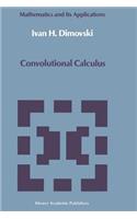 Convolutional Calculus: (43 Mathematics and its Applications)