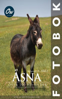 Åsna
