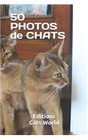 50 Photos de Chats