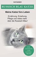 Russisch Blau Katze