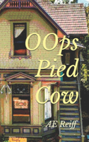 OOps Pied Cow
