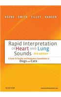Rapid Interpretation of Heart and Lung Sounds