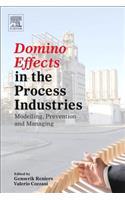Domino Effects in the Process Industries