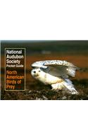 North American Birds of Prey
