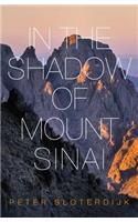In The Shadow of Mount Sinai