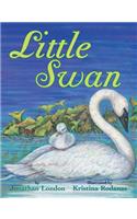 Little Swan