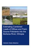 Estimating Combined Loads of Diffuse and Point-Source Pollutants into the Borkena River, Ethiopia