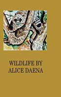 Wild life by Alice Daena