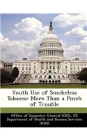 Youth Use of Smokeless Tobacco