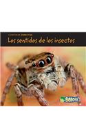 Los Sentidos de Los Insectos: (Comparar Insectos)