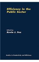 Efficiency in the Public Sector