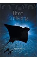 Orion Surfacing