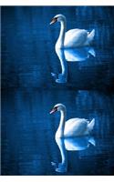 Double Exposure Beautiful Swan journal: 150 page lined journal