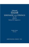 Serenade for Strings, Op.20