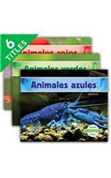 Animales de Colores (Animal Colors) (Set)