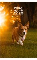 Planner: Increase productivity, improve time management, reach your goals: Cute Corgi at sunset: Modern artistic photography style cover design