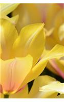 Tulip Notebook