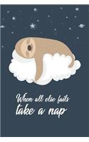 When All Else Fails Take a Nap