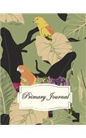 Primary Journal: Draw and Write Journal, Kids Exercise Notebook Journal 120 Pages Large Print 8.5" x 11"