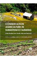 Conservation Agriculture in Subsistence Farming