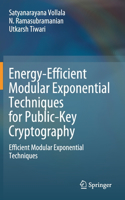 Energy-Efficient Modular Exponential Techniques for Public-Key Cryptography