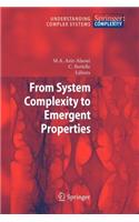 From System Complexity to Emergent Properties