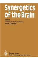 Synergetics of the Brain