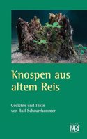 Knospen aus altem Reis