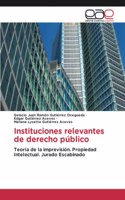 Instituciones relevantes de derecho público