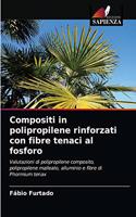 Compositi in polipropilene rinforzati con fibre tenaci al fosforo