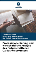 Prozessmodellierung und wirtschaftliche Analyse des fortgeschrittenen Oxidationsprozesses