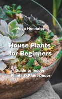 House Plants for Beginners